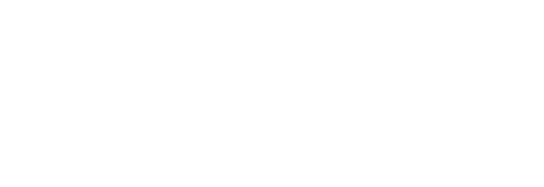 The Wellness Lab